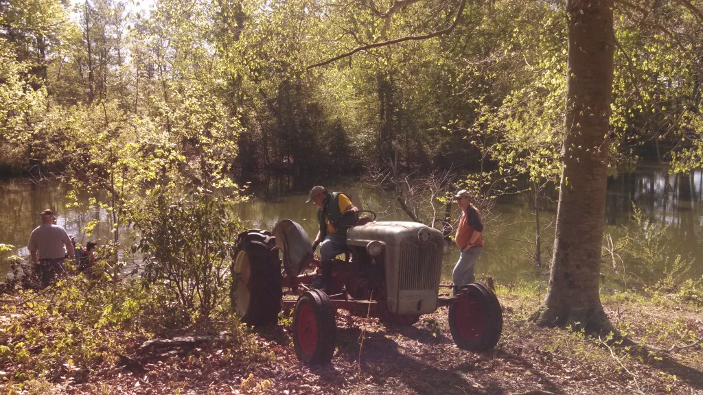 Park Cleanup3