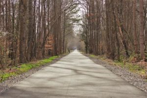 bike-trail